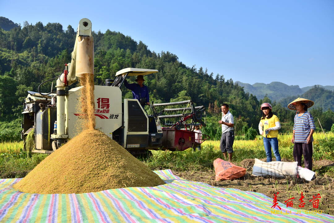 农业机械化  助力乡村振兴