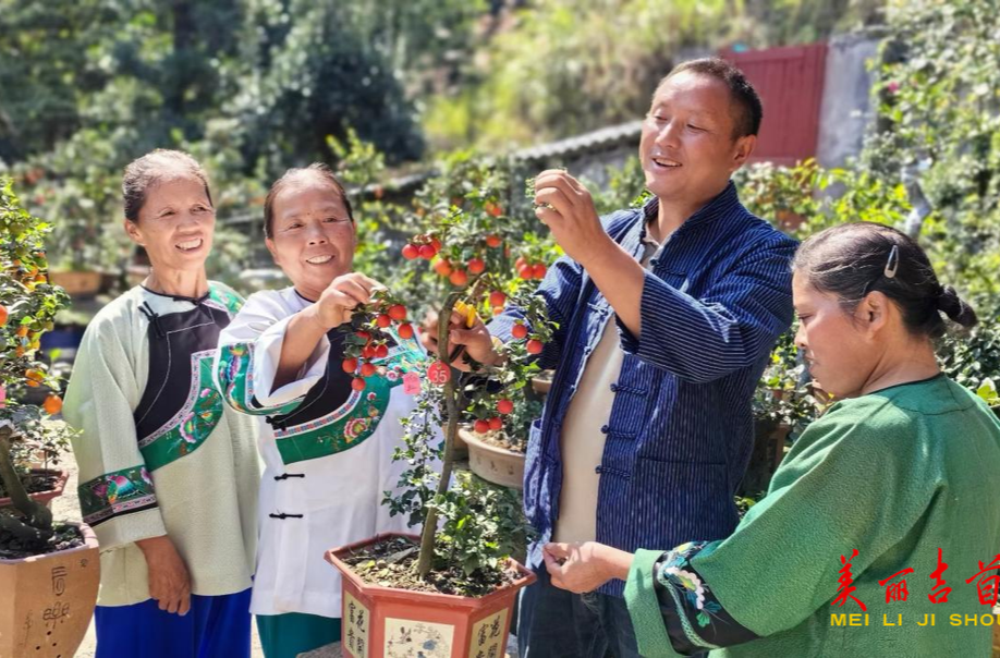 绿水青山就是金山银山——栗溪村十年“翻身记”