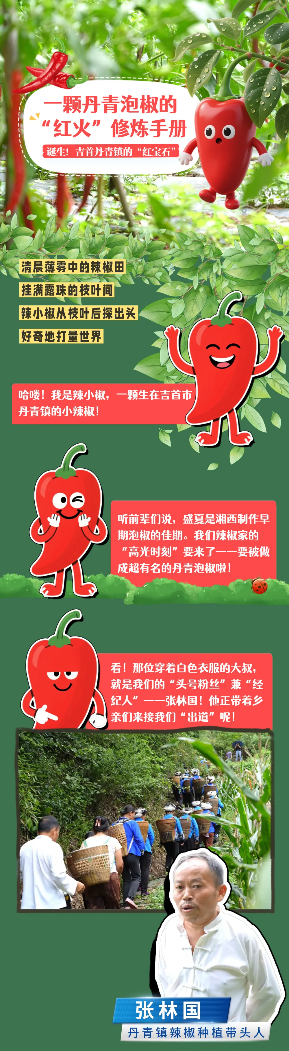 如何“泡”出红火好日子？来听听这颗吉首辣椒怎么说