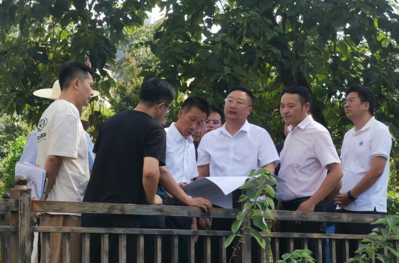 周立志調(diào)研細(xì)溪河沿線環(huán)境整治工作