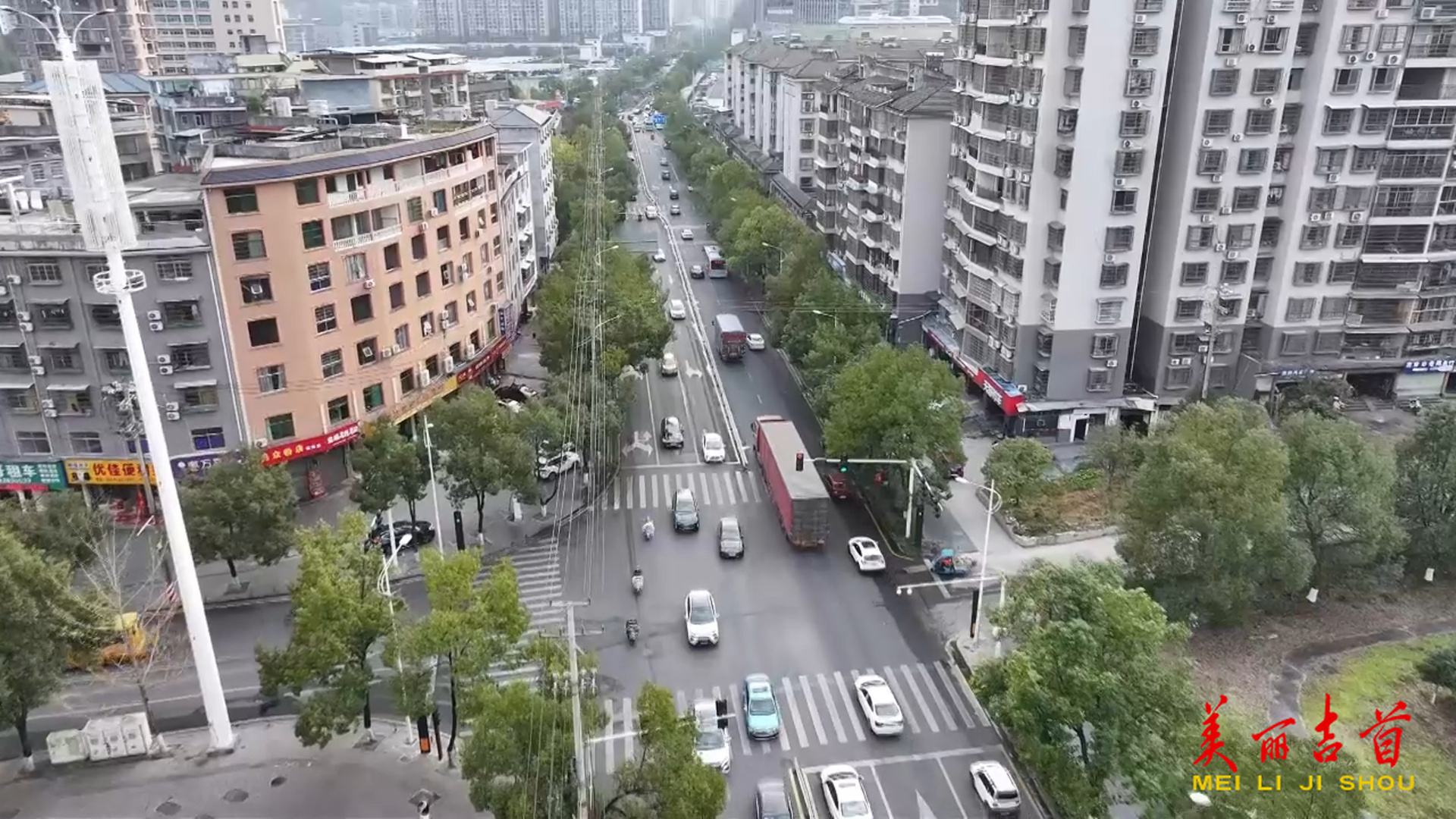 提案办理|提案办理高质效 守护城市交通“秩序之美”