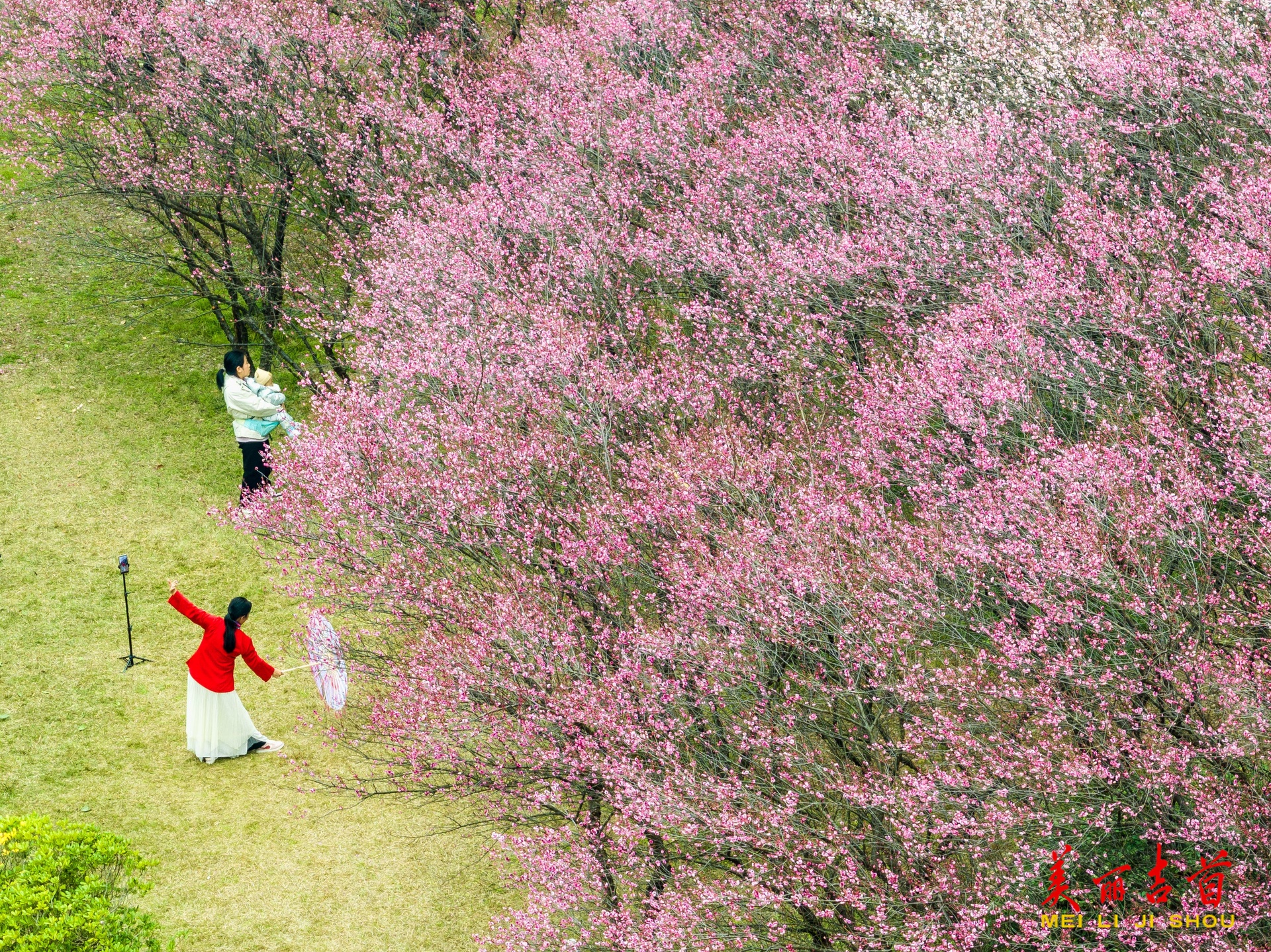 吉首：冬日赏梅 花开正俏