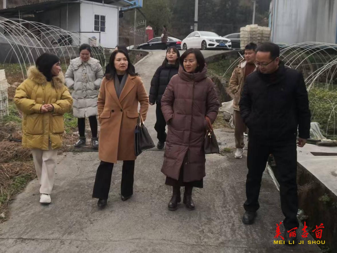 湘西州委人才办 州科协到吉首市考察新申报专家工作站建设情况