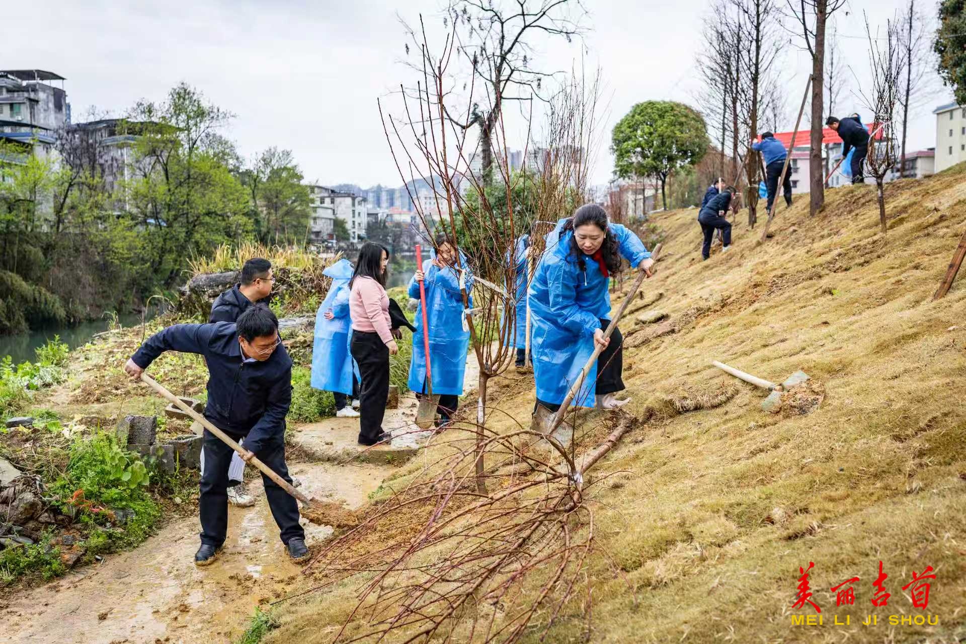 吉首市举行2026年全民义务植树活动