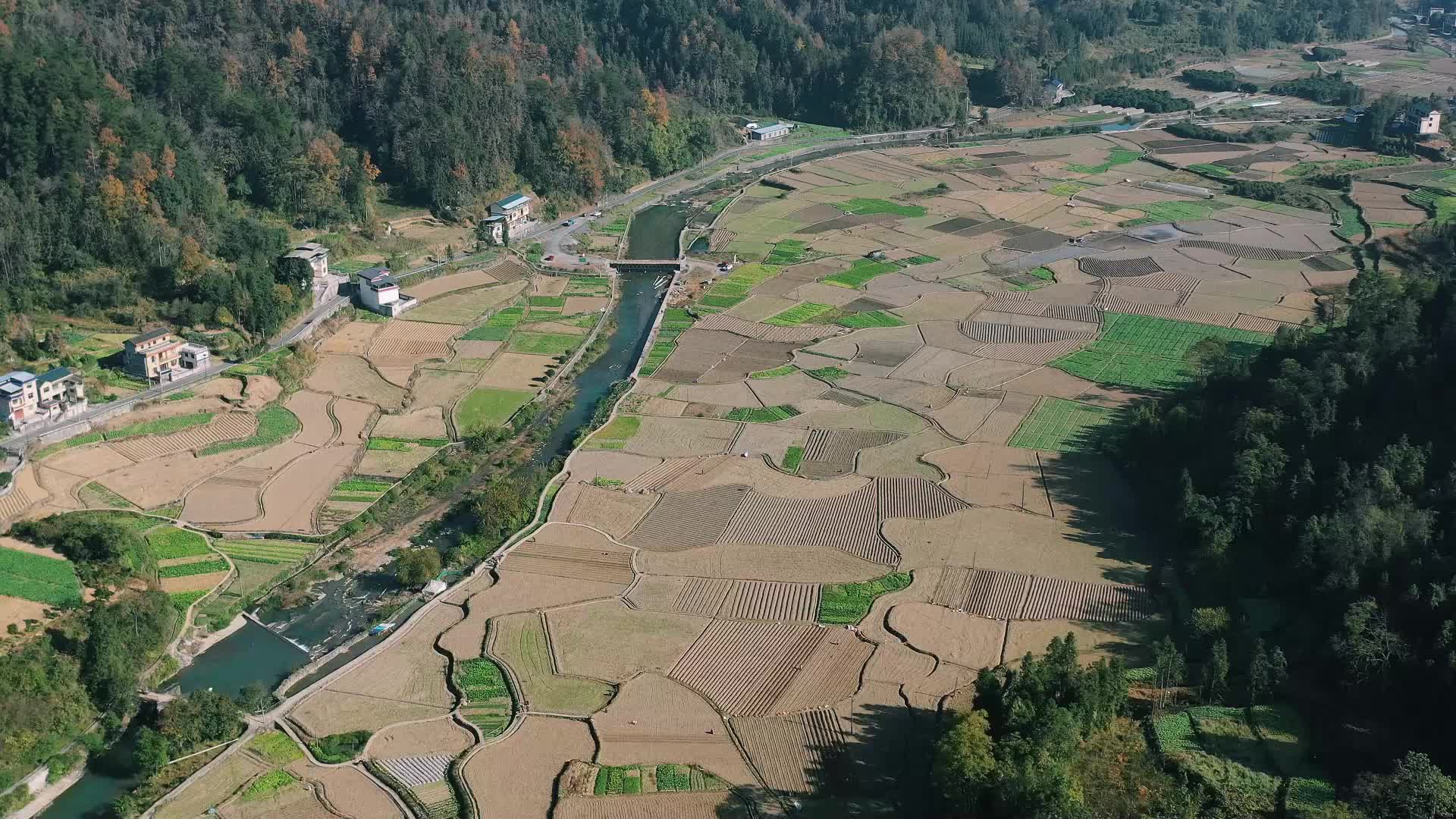 視頻|吉首馬鈴薯:金色希望與甜蜜夢(mèng)想