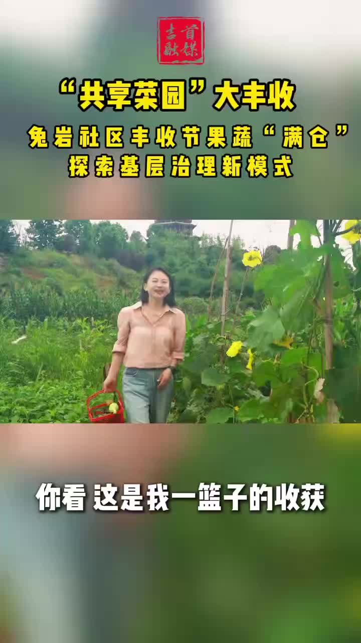 “共享菜園”大豐收！兔巖社區(qū)豐收節(jié)果蔬“滿倉(cāng)”
